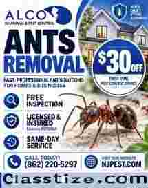 Ants Inspection NJ | ALCO Animal & Pest Control