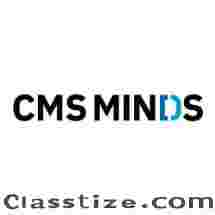 Hire Expert Wordpress Developer - cmsMinds