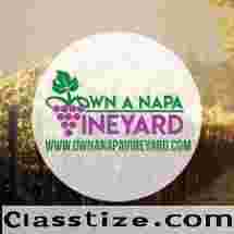 Vineyard Vines Outlet Online | Own a Napa Vineyard