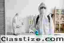 Protect Your Home with Professional Pest Control Services  