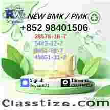 BMK and PMK Manufacture - Wholesale CAS 5449-12-7 / 28578-16-7