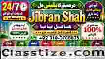 love problem solution specialist online love problem solution love marriage specialist F1
