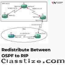 Redistribute Between OSPF to RIP