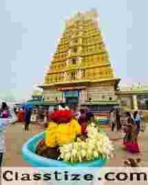 The Best Mysore Tour Packages for a Memorable Trip