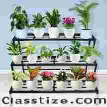 Organise your Balcony Plants with Plant Stands for Balcony | Casa de amor