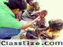 Building Hope Through Compassionate Charity Work in Kolkata