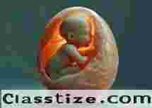 Expert Laparoscopic Surgeons - Uterus Removal & Hysterectomy - Fertility Solutions - laparoscopic surgery for fertility - laparoscopic surgery cost for infertility