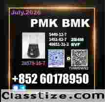 CAS 28578-16-7 New PM.K B.MK partner worldwide