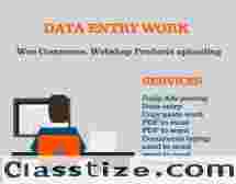 Genuin data entry project 