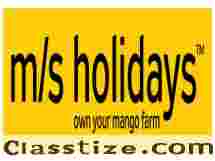 Mango Farmland Chennai| Mango Farmland For Sale in Chennai  - M/S Holiday Farms