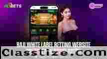 Trusted Baji Betting Website Provider in Bangladesh