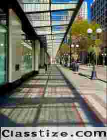 Reliable Commercial Asphalt Paving in Chicago, IL