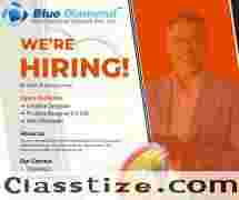 Hire Python Developers in India | Top Python Development Company – Blue Diamond