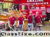 Tree Service in Little Ferry, NJ – Amazing Tree Services