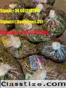 BUY WEED,PEPTIDES,GBL,GHB,XANAX,ADDERALL,KETAMINE ADHD ONLINE