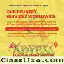 courier from india to usa cost