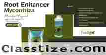 Buy Root Enhancer – Premium Mycorrhiza Powder & Liquid Mycorrhizal Fungi