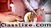Piles Treatment in Chandigarh