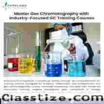 Advanced Gas Chromatography GC Training Program