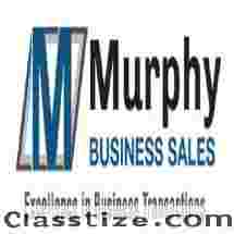 Business Valuation Services Boise