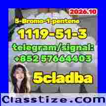 CAS Number 1119-51-3 | 5-Bromo-1-pentene  5cladba precursor 