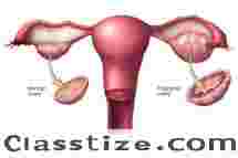  Best Fertility Hospitals in Bangalore - Best doctor for infertility in Bangalore - Best gynecologist in Bangalore - Best fertility clinic near me - Santhathi IVF Centre