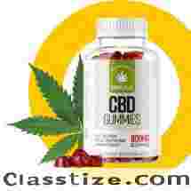 CannaPlus CBD contient-il du THC ?
