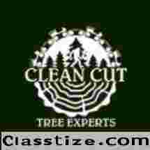 Clean Cut Tree Experts