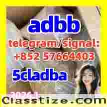 5cladba raw material 5CL-ADB-A precursor raw 5cladba 5f adb /