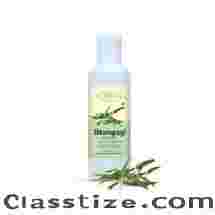Bhringraj Extract