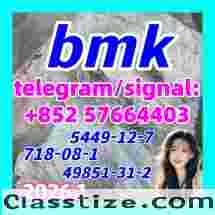 CAS 5449-12-7 BMK Glycidic Acid-bmk powder-factory supply 