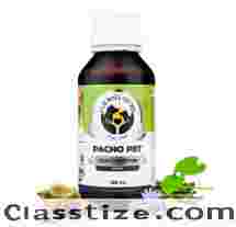 Inside Your Pet’s World