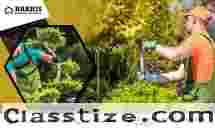 Reliable Tree Care Services in NJ- Harris Brothers Landscaping