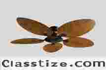 Teetar F Ceiling Fan Supplier