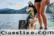 High Protein Nutrition for Active Pets