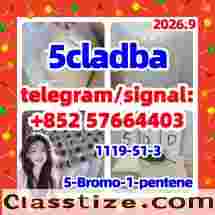 5cladba precursor Raw Materials 5-Bromo-1-pentene dmf 