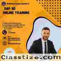 Upgrade your knowledge with SAP SD Online Training with expert trainer 