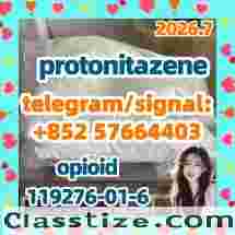 Protonitazene CAS 119276-01-6 