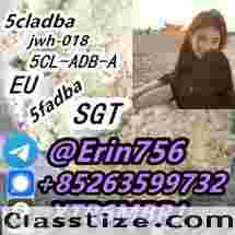 5cladba precursor raw 5cl-adb-a raw material