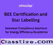 Greening Your Business: Vincular's BEE Certification and Star Labelling Expertise