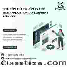 Hire Expert Developers for Web Application Development Services