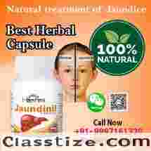 Cure Jaundice and Reduce Bilirubin Level with Herbal Capsule 