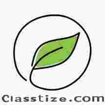 Natural Palm Leaf Plates