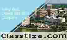  Irving SEO Company